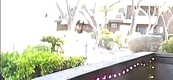 Plant fell off our patio and this scum fuck takes it. Shit head didn't know I had a camera recording.