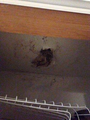 leaky kitchen ceiling surrounded by black mold