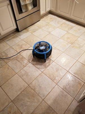 Tile and Grout Cleaning