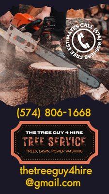 The Tree Guy 4 Hire