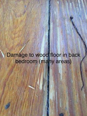 Splintered wood flooring