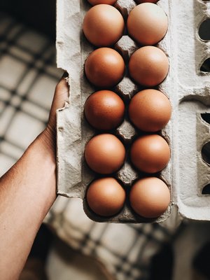 Pastured chicken eggs.