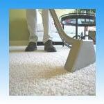 Carpet Cleaner Pompano Beach