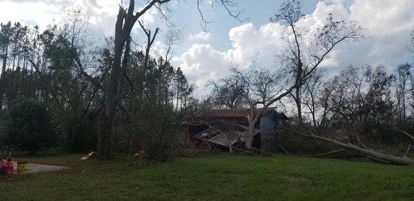 Fallen Tree Removal