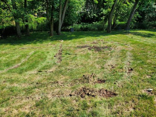 Damage to the yard... Much worse than the photo depicts...