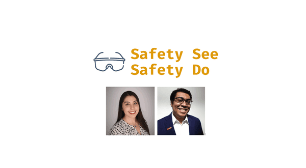 Safety See Safety Do