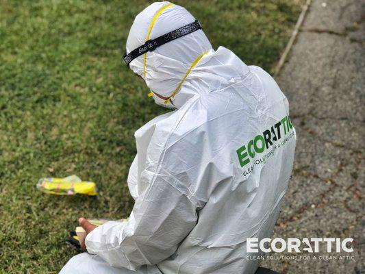 Ecorattic Insulation