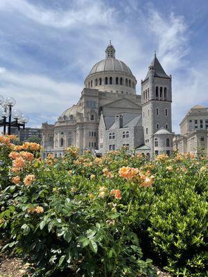 Roses bloom on the Christian Science Plaza in Boston.