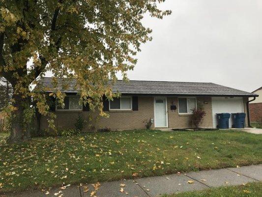 Working on a free estimate for a maple tree removal and tree trimming in Kettering