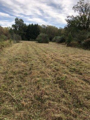 Brush mowing newtown