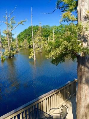 scenic views of Bayou Desiard