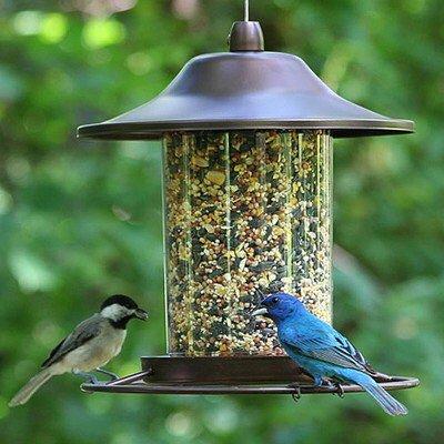 Bird Feeders