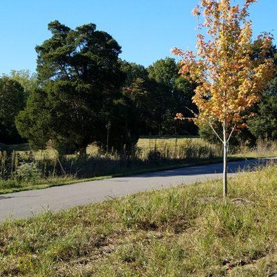 open spaces for hiking