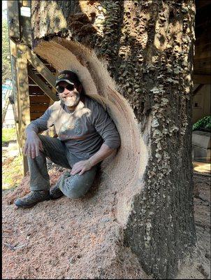 Stump Grinding By Chad