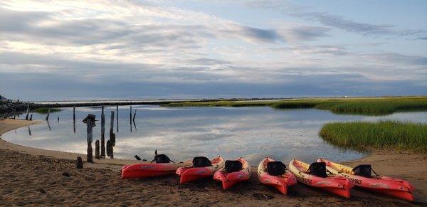 Sunrise tours at Provincetown Aquasports