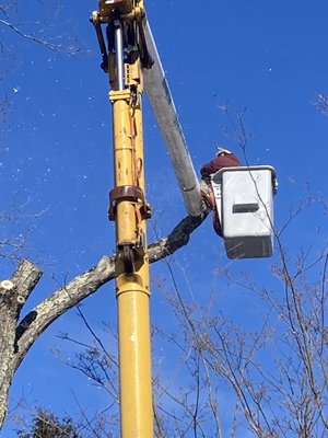 Yasmin Tree Service