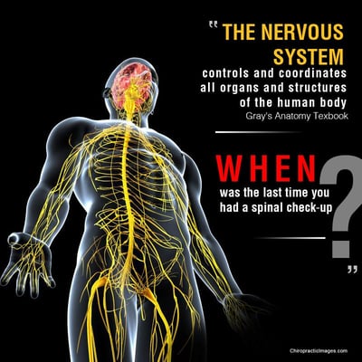 Only about 18% of nerve fibers transmit Pain, the rest 82% transmit FUNCTION. How well do you function?