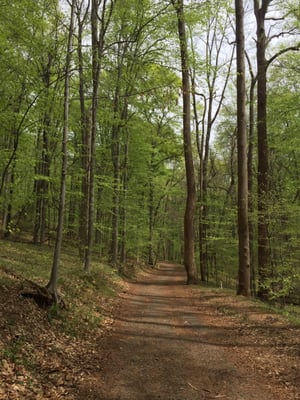 Quiet trail on a perfect day with loved ones