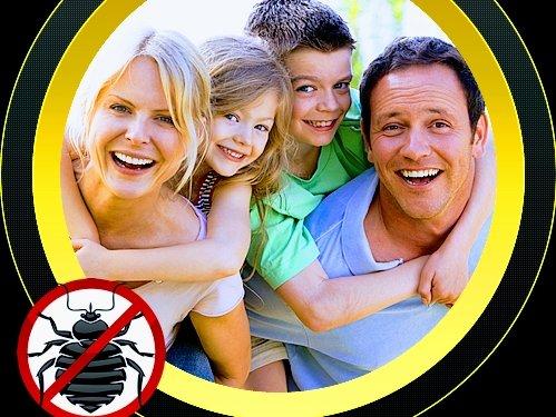 Vision Pest Control - Thousand Oaks