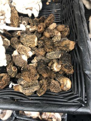 Morel mushrooms. Can't get these at Ralph's in Cali