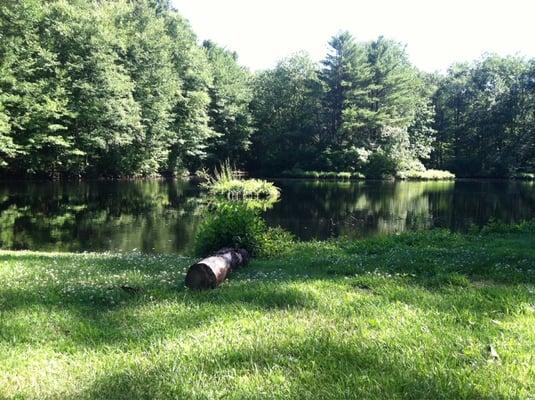 Pond by the parking lot. Lots of turtles and a floating, spinning 'island'.