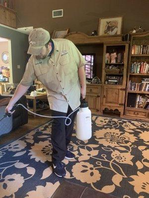 Oxi Fresh Carpet Cleaning