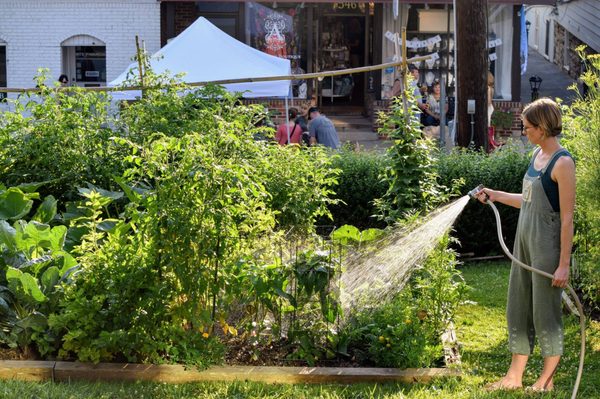 Sykesbille Community Garden