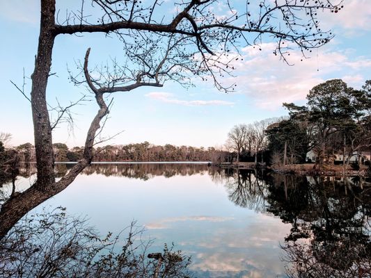 Lake Bradford