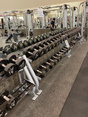 LA Fitness Weight Rack