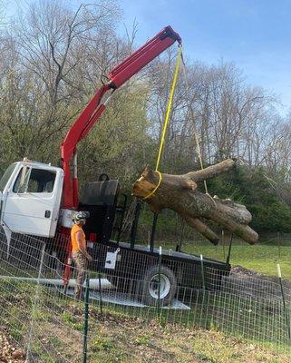 Loading a knot