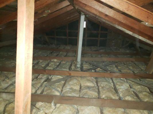 Gabriel’s Attic Insulation Clean Up