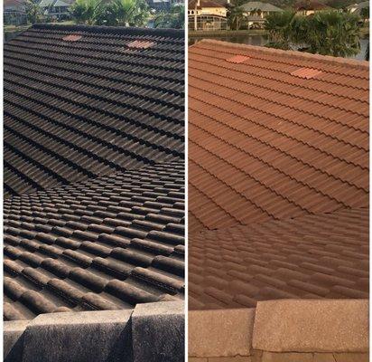 Before and After Roof Cleaning