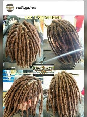 Fresh Full head of Loc Extensions done by Fly