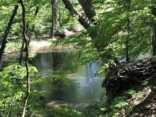 Part of Choptank at North County Park