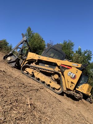 Forestry mulching a super steep slope.