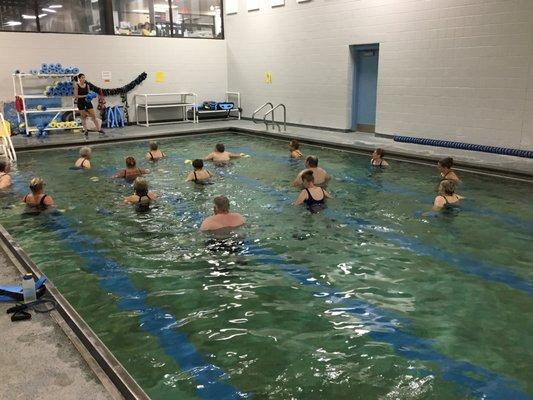 Warm water therapy pool