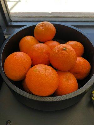 Fruit selection for morning breakfast or afternoon snack