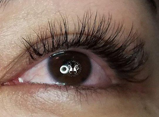 Russian volume lashes