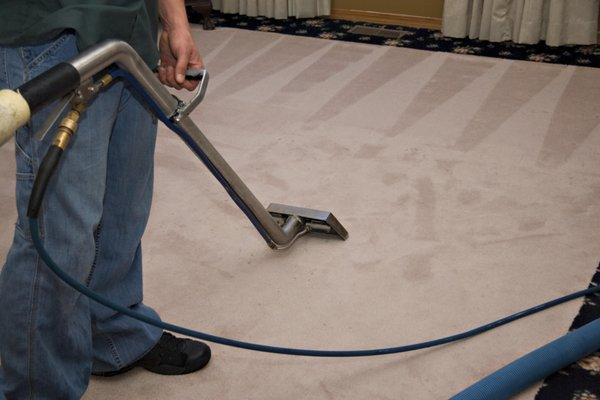 1 St Choice Carpet Cleaners