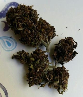 Pinkleberry  (Wacky Tobaccy)