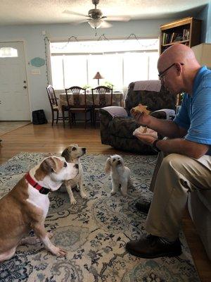 John has all of our dogs attention!