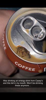 Cockroach coffee