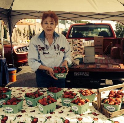 We sell our delicious produce at many farmers markets: Cabot, Lonoke, and Hillcrest on Saturday mornings and Bernice Gardens on Sunday.