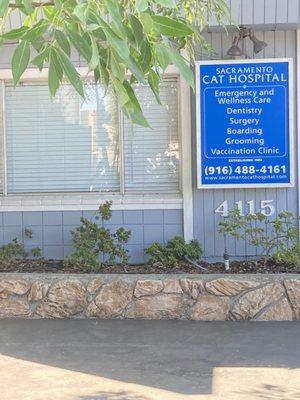 Sacramento Cat Hospital