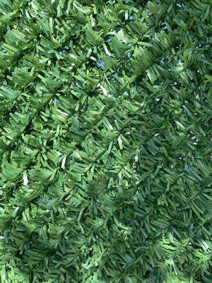 (close-up) Grasstik product applied against existing commercial fencing (a school in North Hills, San Fernando Valley)