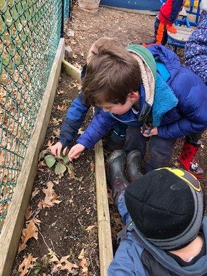 Natural Wonders Early Learning Center