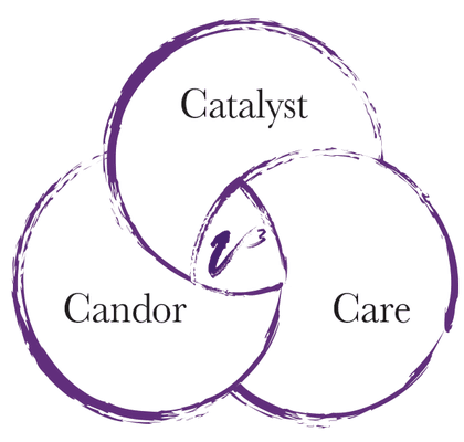 The Vandaveer Group, Inc. is a catalyst to help senior leaders discover hidden problems and address them to realize their potential.