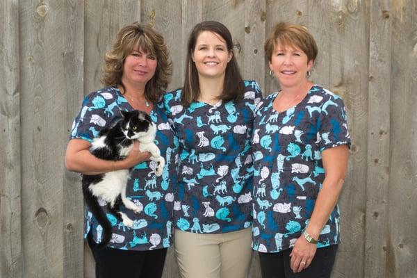 Our Reception Team:  Janice, Kristie, Annette and our kitty supervisor, Ilean!