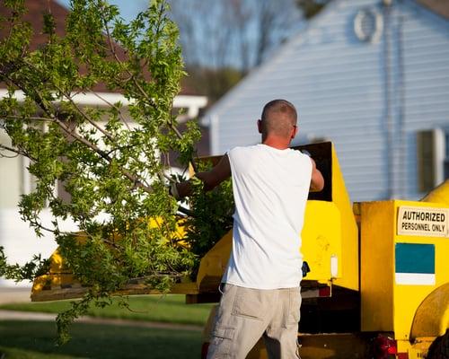 Mishawaka Tree Service