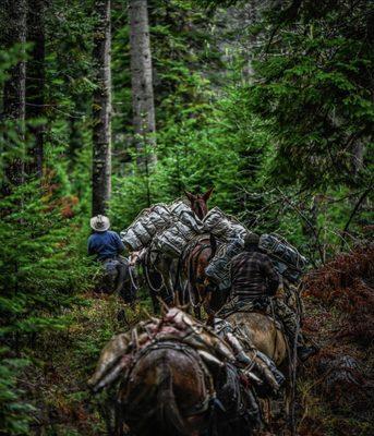 Moose Creek Outfitters